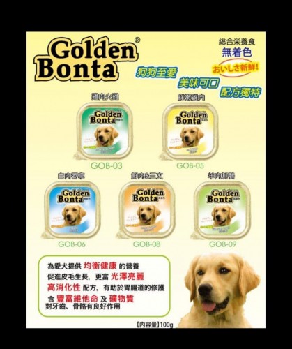 Golden Bonta Dog