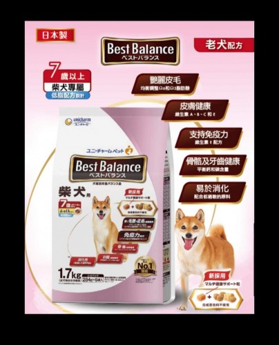 BEST BALANCE DOG 1