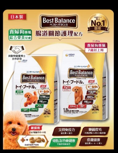 BEST BALANCE DOG 5