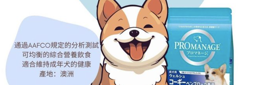 Petpethouse 寵物之家香港網店首頁主視覺，貓狗與優質寵物用品