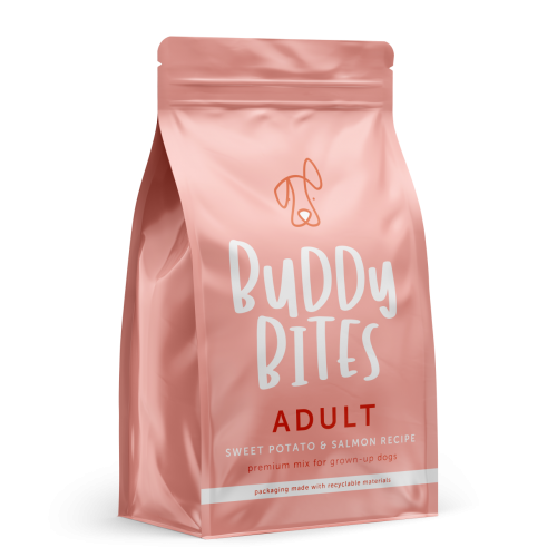 Buddy Bites Sweet Potato &Salmon (Red)