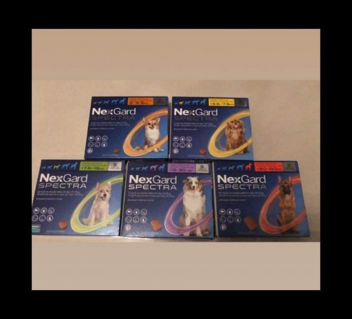 NexGard Spectra